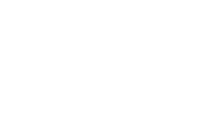 MVM_Logo WHITE NEW